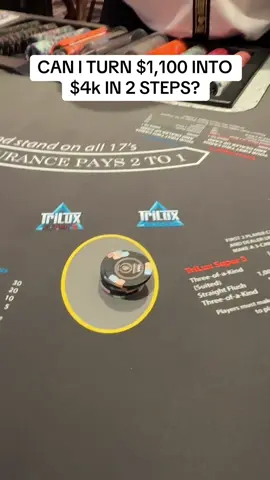 A post by @tsteezylive on TikTok caption: Can we do it? #gambling #fun #fyp 