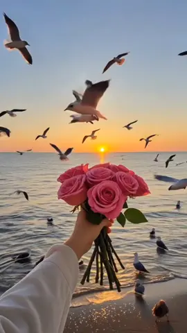 A post by @dhaalmujaahiid6 on TikTok