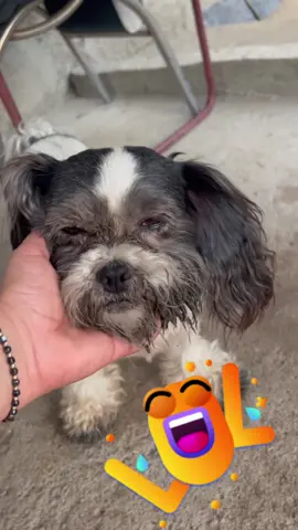 A post by @andreea300593lorena on TikTok caption: #videoviral #videoviral #videoviral 