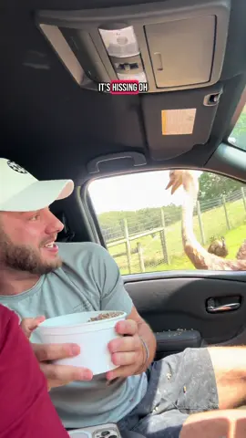 A post by @average_jake_ on TikTok caption: I could spend hours in the Budgie Aviary it’s my favorite #fyp #foryou #datenight #mlm #couple #virginia #animals 