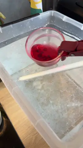 A post by @marvinlaqueen on TikTok caption: C’est beau ?
