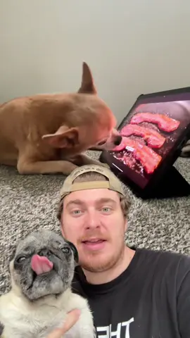 A post by @cyrilschr on TikTok caption: Il m’épuise 😂