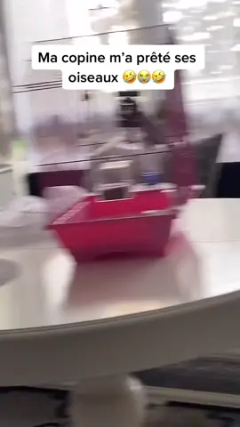 A post by @dinnissa on TikTok caption: CHARGERERRRR