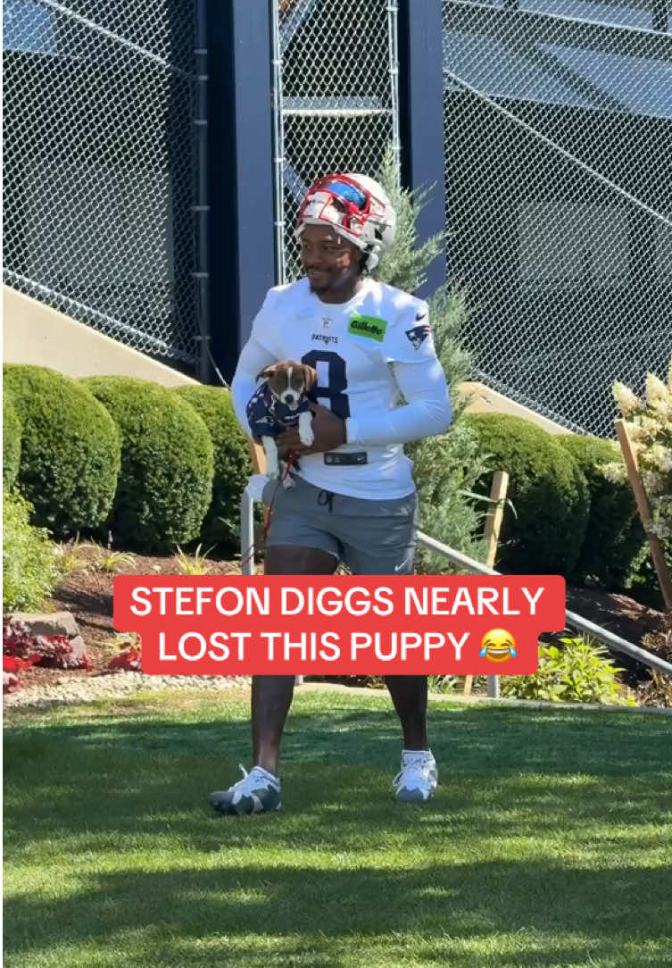 A post by @nfl on TikTok caption: dog was putting the moves on fr tho 😭 #stefondiggs #newengland #patriots #nfl (via @New England Patriots)