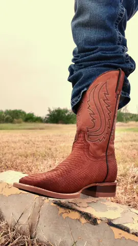 A post by @alfawesternwear on TikTok caption: 😮‍💨🐍🔥 #alfawesternwear #alfawesternwearboots #python #texas #cowboyboots #westernwear #cowboyshit #botasvaqueras 