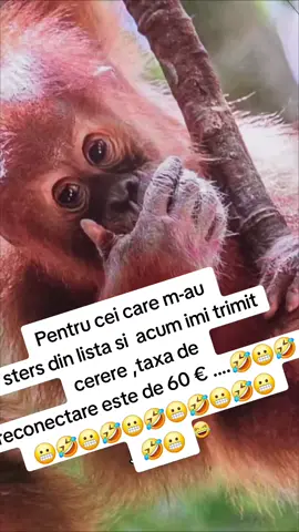 A post by @mihaelammanu on TikTok caption: #🤪 #🤣🤣🤣 #amintire 