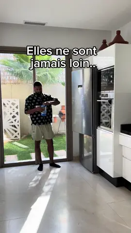 A post by @jamesetshona on TikTok caption: Elles ne sont jamais loin … 🤣