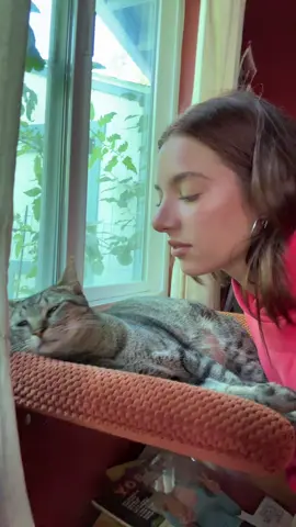 A post by @mackenzieziegler on TikTok caption: he didn’t like this very much 