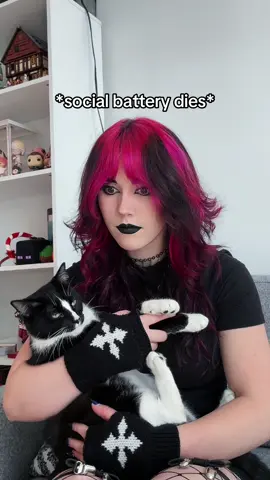 A post by @swaggy_cucumber on TikTok caption: Need the comfort cat right away #relatable #socialbattery #introvert 