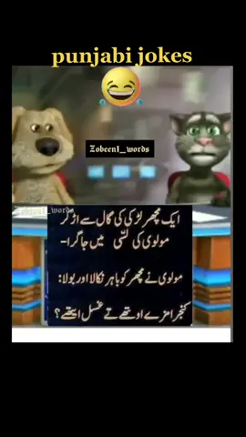 A post by @faisal_official061020 on TikTok
