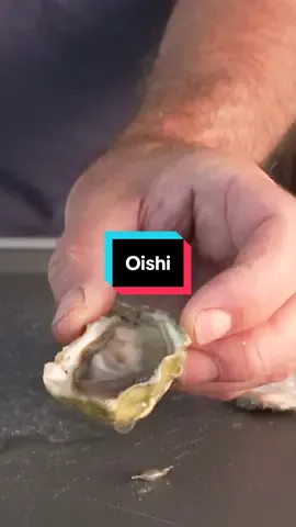 A post by @by_the_water on TikTok caption: Oysters Taste Like Cucumbers? #seafood #oysters #washington 