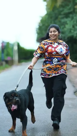 A post by @_sruthi_thampi on TikTok caption: Rottweiler 💪 #sruthithampi #rottweiler #doglover #petlover #dog 