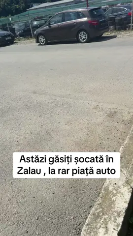 A post by @laluciumami1 on TikTok caption: #laluciumami🥵 #toatalumea 