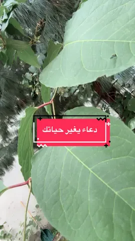 A post by @abojody99 on TikTok caption: #اكسبلور #fortnite #foryou #دعاء #ترند 