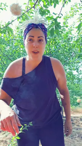 A post by @sandra_princess37 on TikTok