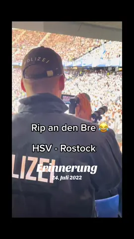 A post by @schatzo.und.schatzoline on TikTok caption: #erinnerung 