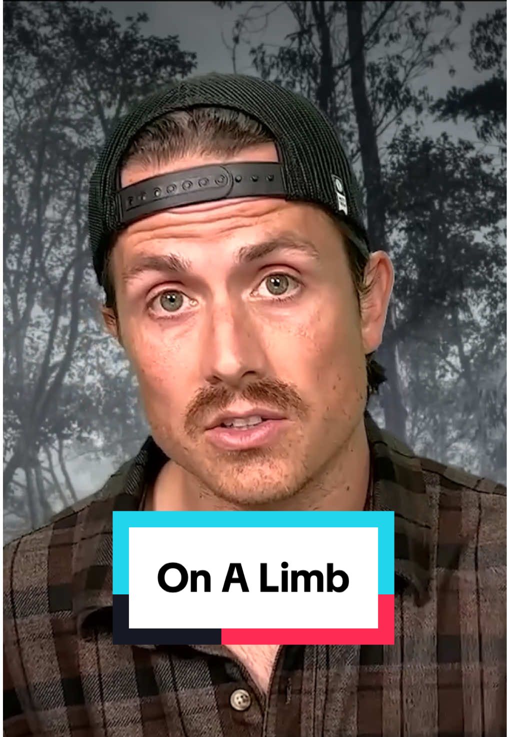 A post by @mrballen on TikTok caption: On A Limb