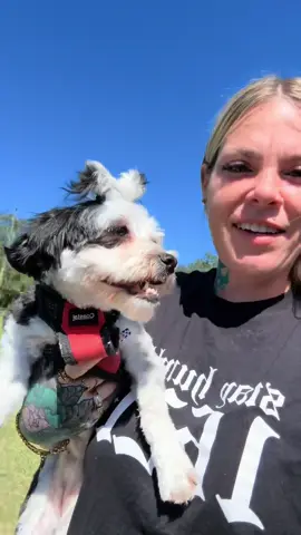 A post by @itsmamacookie on TikTok caption: FaceTime me🥹🤞 look how cute my little Oreo Chanel is🖤 #fyp #nunezfamilyof4 #nunezfamilyrealitytv #mamacookie #chaos #spotlight #facetime #oreochanelnunez 