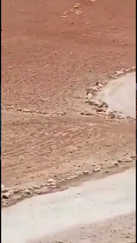 A post by @kagan_dunlap on TikTok caption: A massive detonation occurred in Idlib Syria.