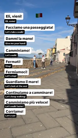 A post by @theitalianlanguageboss on TikTok caption: #italianlanguage #italianonline #learnitalianonline #onlinelearning 