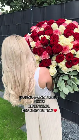 A post by @selina_hrrm on TikTok caption: 250 ROSEN - ICH LIEBE DICH @Liikeez ♥️🌹#fyp #couple 