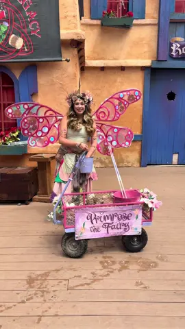 A post by @jacqueszewhipper on TikTok caption: @꧁ Primrose the Fairy ꧂ is the real punk rock  #punk #superman #punkrocker 
