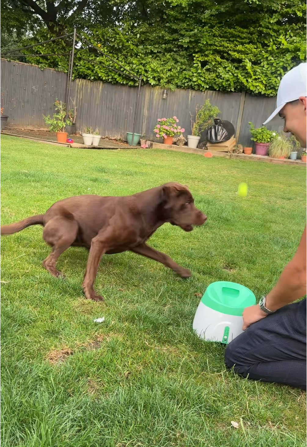 A post by @itsdaddymay on TikTok caption: Reggie thanks whoever sent this for him ❤️❤️ #daddymay #mayfamily #mayfamilypub #russellarms #family #dogsoftiktok 