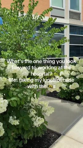 A post by @queenhoneyfaa on TikTok caption: #fyp #nature #hospitaltiktoks #hospital 