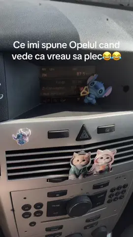 A post by @andreea_bld96 on TikTok