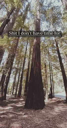 A post by @teamdiablo321 on TikTok caption: #teamdiablo321 #fypシ゚viral🖤tiktok #fypシ゚ #fypシ゚viral #happylife #happyness #mentalhealthmatters💚💚💚 #selflove #healing #healingjourney 