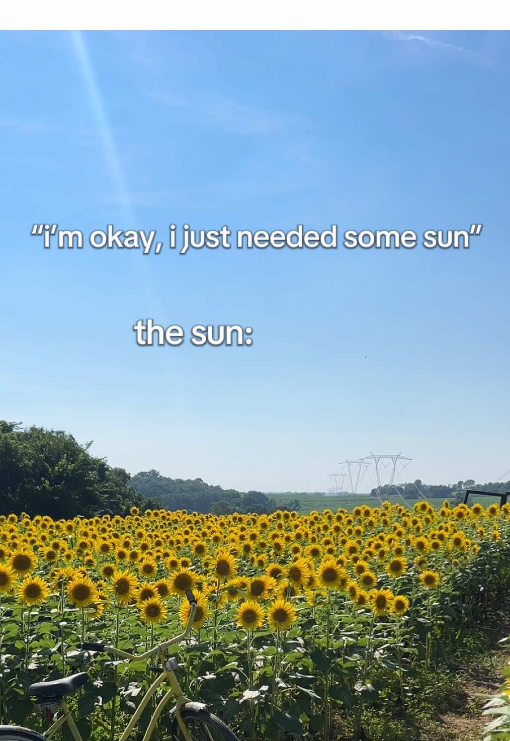 A post by @ on TikTok caption: i just needed some sun!!! 🌻 #sunflower #sun #trendingaudio #trend 