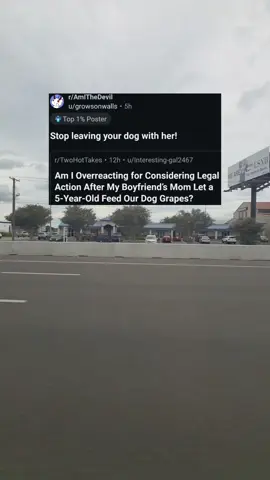 A post by @rslashreddit_ on TikTok caption: Am I Overreacting for Considering Legal Action After My Boyfriend’s Mom Let a 5-Year-Old Feed Our Dog Grapes? OOP is u/Interesting-gal2467 #rslashreddit_ 