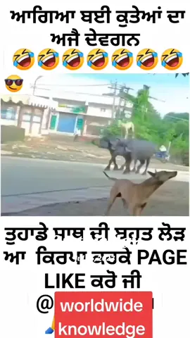 A post by @worldwideknowledgeaj2 on TikTok caption: #onthisday