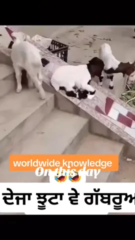 A post by @worldwideknowledgeaj2 on TikTok caption: #onthisday