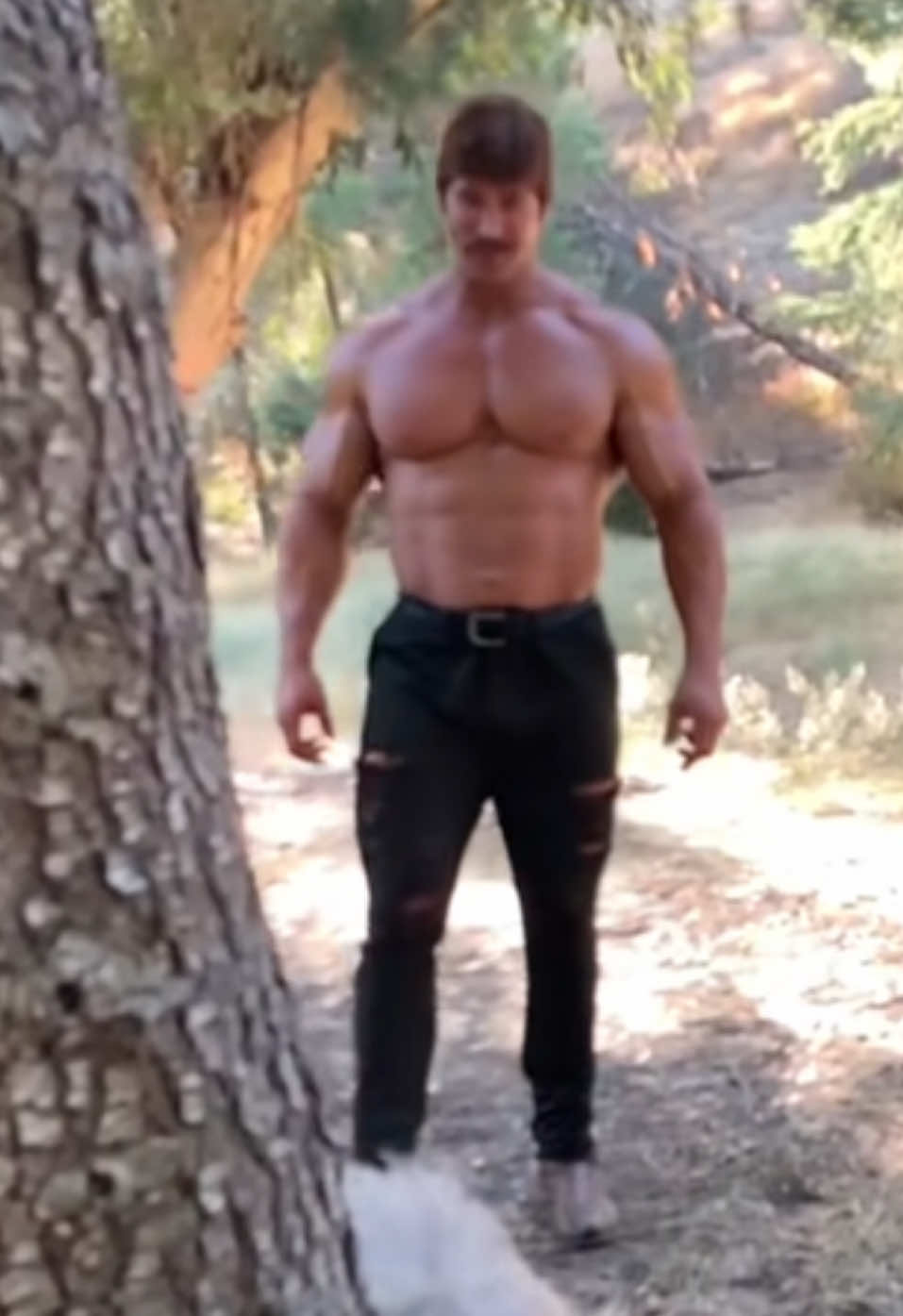 A post by @mikeohearn on TikTok