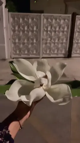 A post by @s.a.b.r.y0 on TikTok caption: #bangladeshi #🤍🕊️ #foryou #trendingsong 