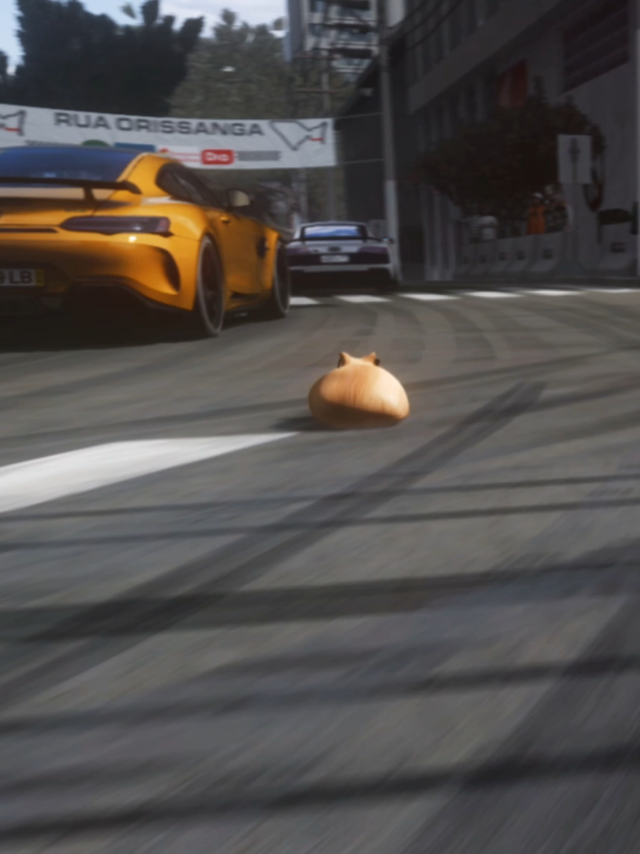 A post by @dmcgar on TikTok caption: Rolling with the boys. #meow #pablo #animals #cat #cartok #catsofinstagram #fyp #speed #F1