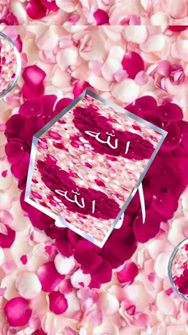 A post by @faisal786_official on TikTok