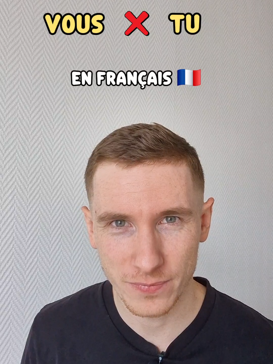 A post by @elmartino_french on TikTok caption: vous et tu en français #education #language #apprendrelefrançais #learnfrench 