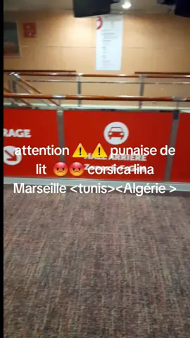 A post by @nizarofitch on TikTok caption: #ااكسبلور_2020 #marseille #VoiceEffects #voyage #corsica #fouryou #fyp #ااجزائر🇩🇿_تونس🇹🇳_المغرب🇲🇦 