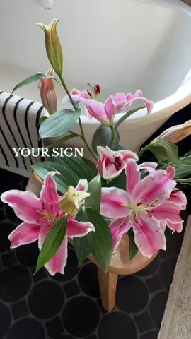 A post by @alexandracolleen on TikTok caption: whatever it is that you’re about to give up on, maybe wait. maybe just one more day. maybe, try it again ♥️ #encouragement #signs #flowers #dontgiveup #fyp 