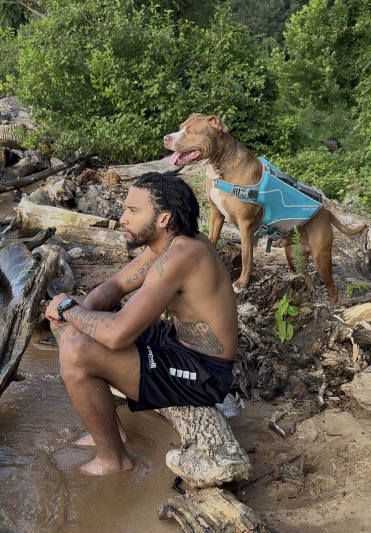 A post by @thilluminatin1 on TikTok caption: Dog Dad Things 👴🏽🐶  Had to split the video into two parts so we wouldnt have a whole documentary 😂 but Can your dog swim? Let me know in the comments!  #dog #dogsoftiktok #pitbull #pitbullsoftiktok #Vlog #nature #beachday 