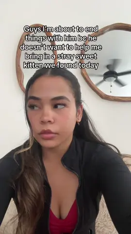 A post by @citygurlzup on TikTok caption: Took it food and water until someone claims him :(