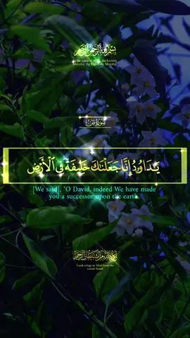 A post by @tasnimbegum117 on TikTok caption: #CapCut #everyone #allah🤲🕋🕌🙏🙏❤️‍ 