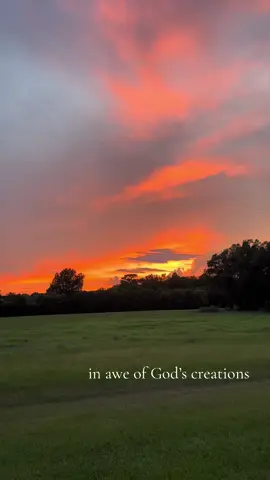 A post by @hagenann on TikTok caption: love a good sunset 