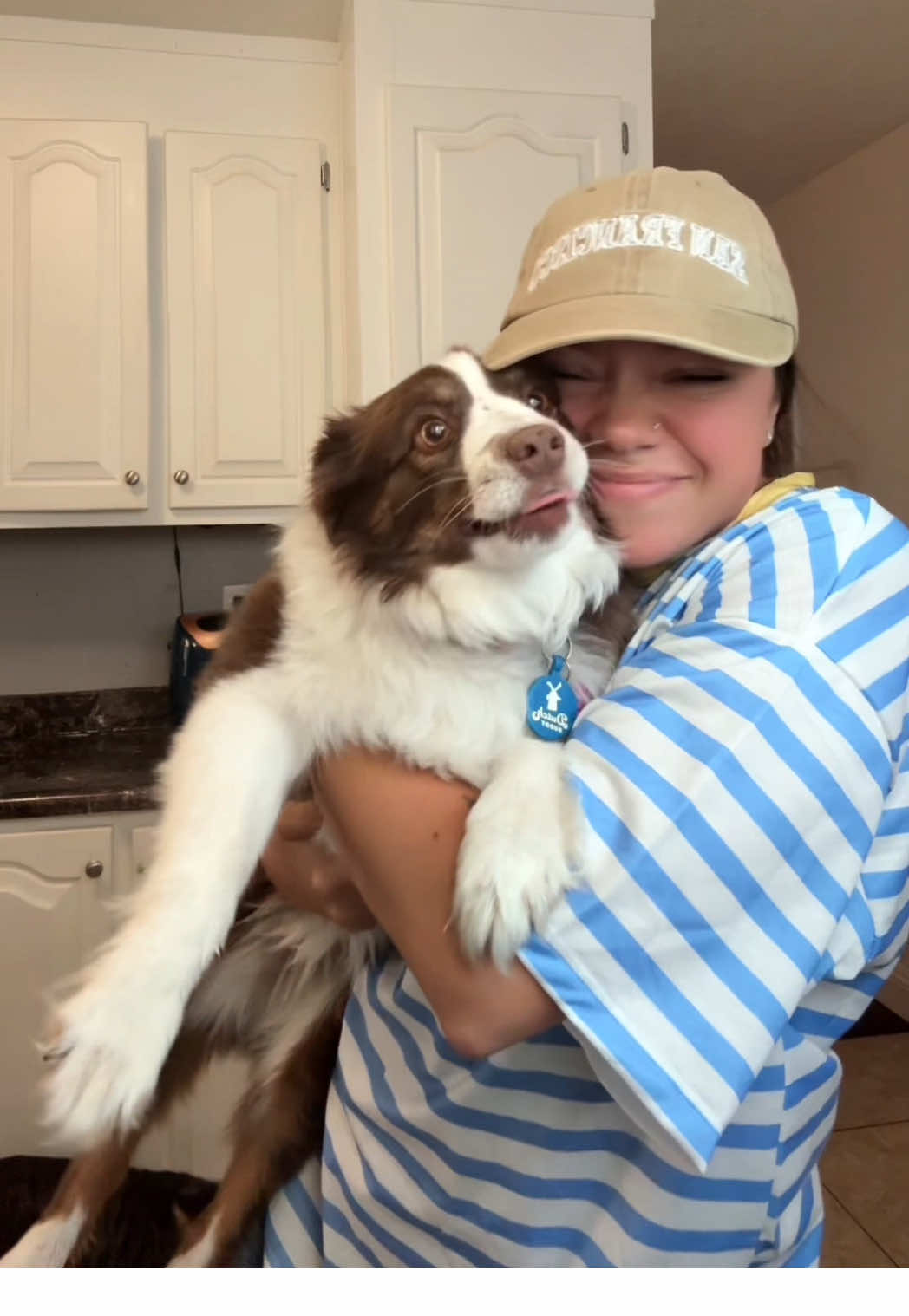 A post by @xoxo.allison on TikTok caption: #petsarefamily #mansbestfriend #boops @Boops Pets 