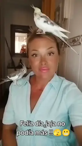 A post by @piter197635 on TikTok caption: #fpy #enparati 