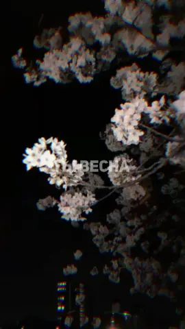 A post by @top_nosta_music on TikTok caption: Ты весна #CapCut 