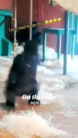 A post by @ on TikTok caption: #onthisday #reureu #mrstewart #funnyvideos #throwback 