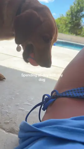 A post by @doraisexploringpt2 on TikTok caption: My dream date #toast